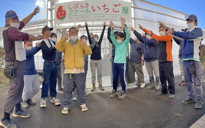 ファームスタッフ